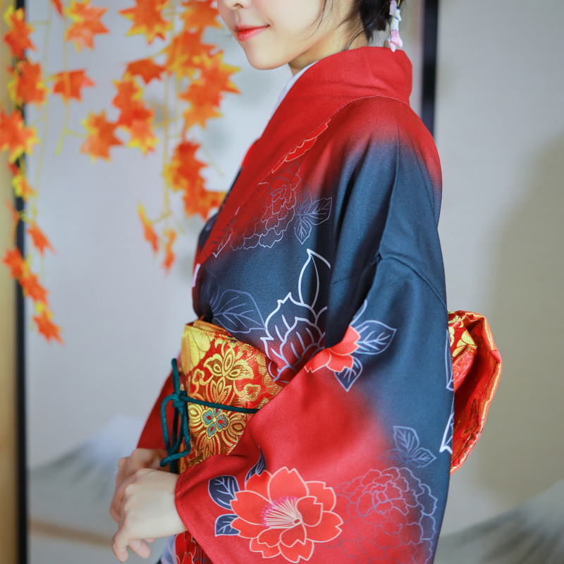 Women's Japanese Kimono Formal - огляд і ціна Japanese Women Formal Wear